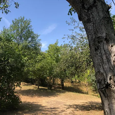 Erdőszéli * Mindszentkálla