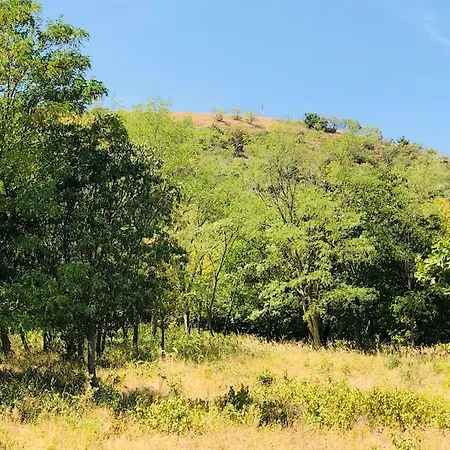 Erdőszéli * Mindszentkálla